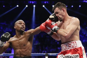 大型赛事期间交通指引发布，便利观众出行，大型赛事的赛事回顾